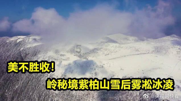 小猫钓鱼游戏龙王版有船