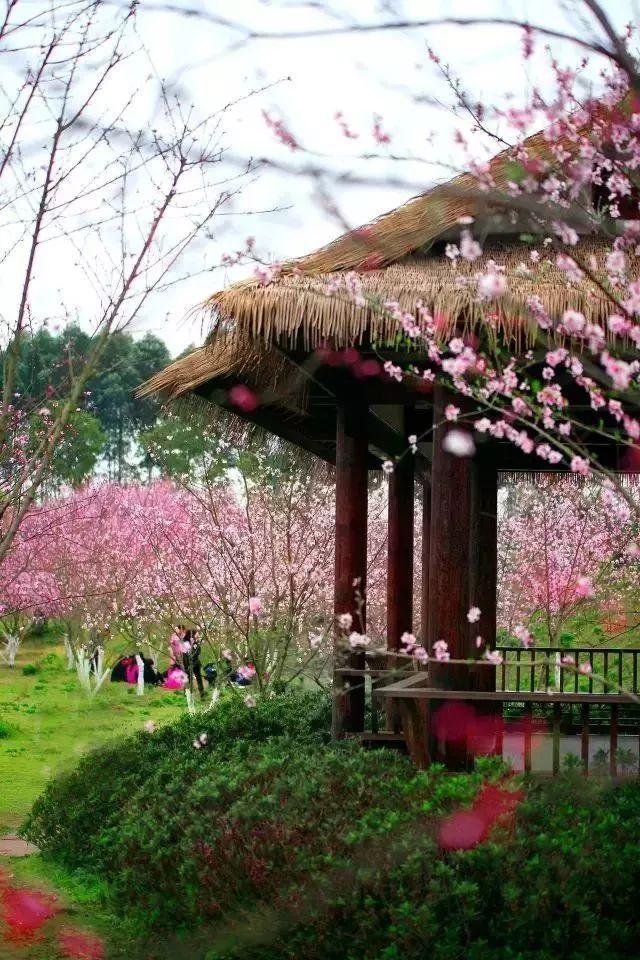 吃鸡模拟器