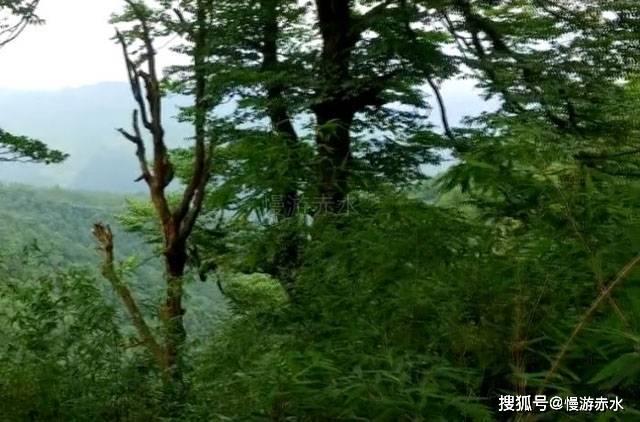 救援环境科学家