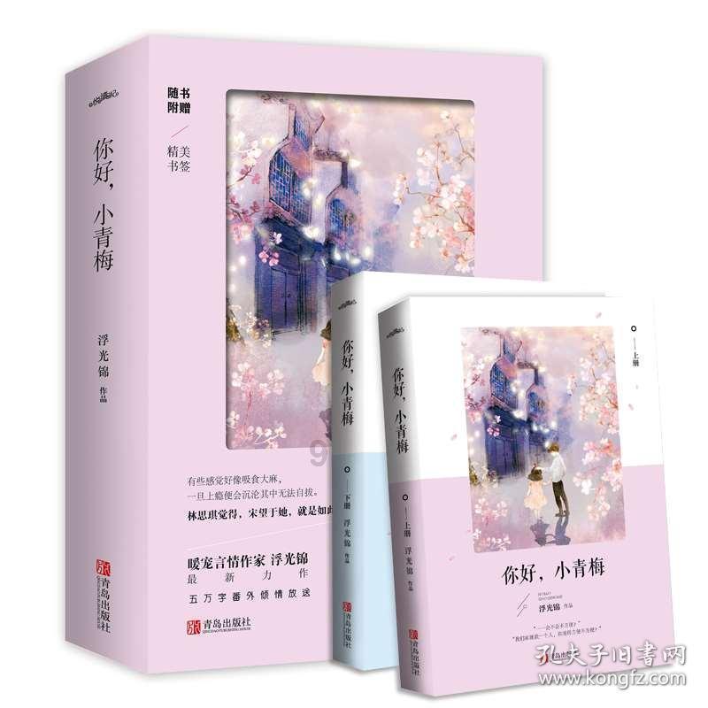 省政协委员杨丽萍：加强民族文化保护　促进乡村旅游发展