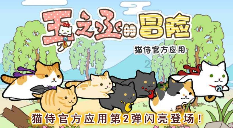 蓝狐视频