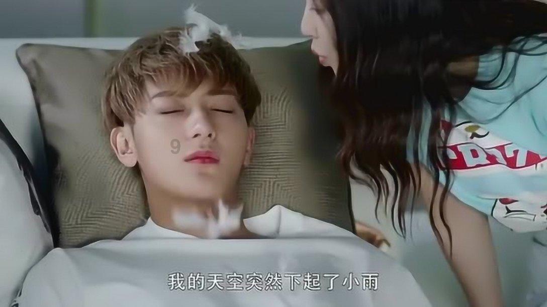 动物帮帮忙保卫家园