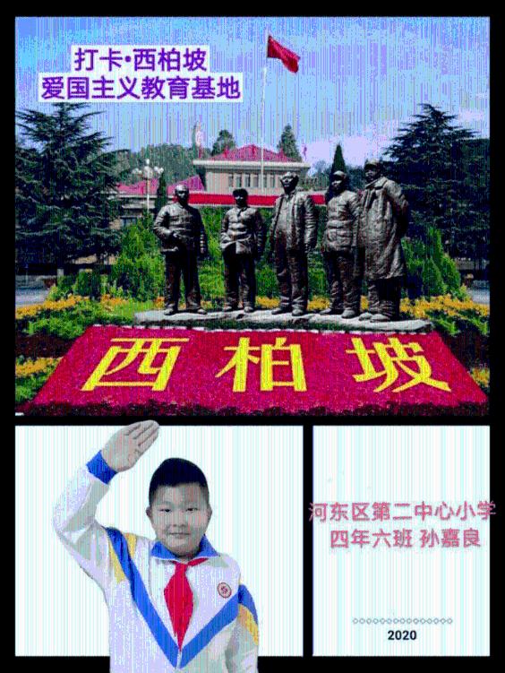 小鸡庄园今天答案11.8号游戏画面