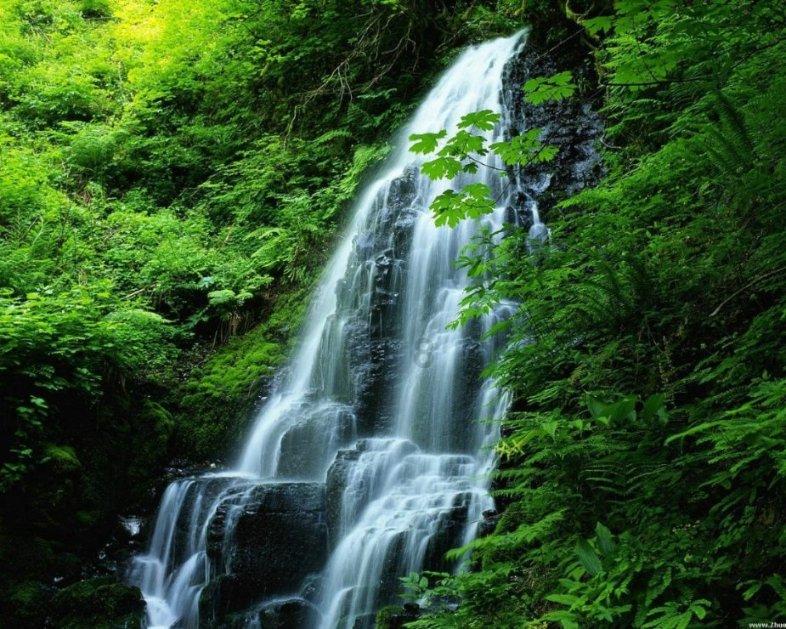 沪江开心词场