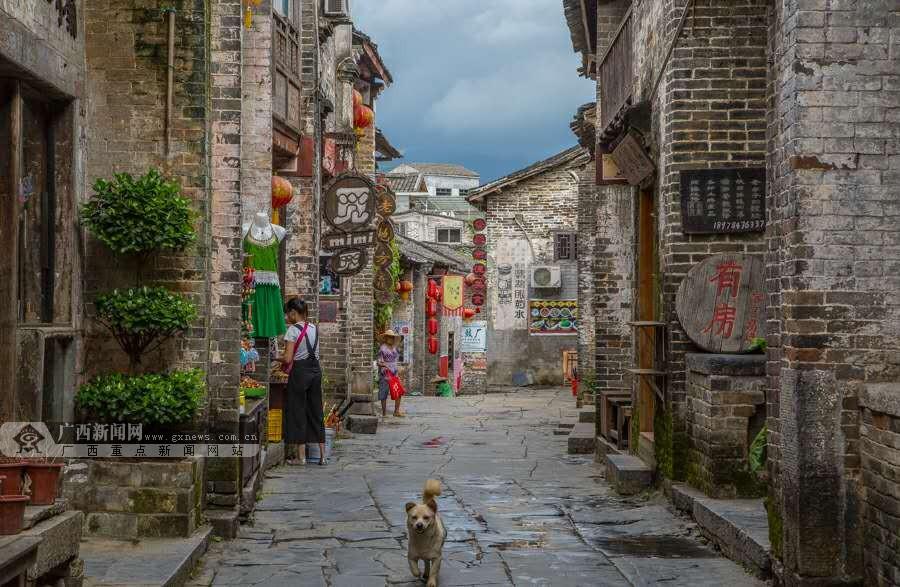 小猫钓鱼正版下载中文版