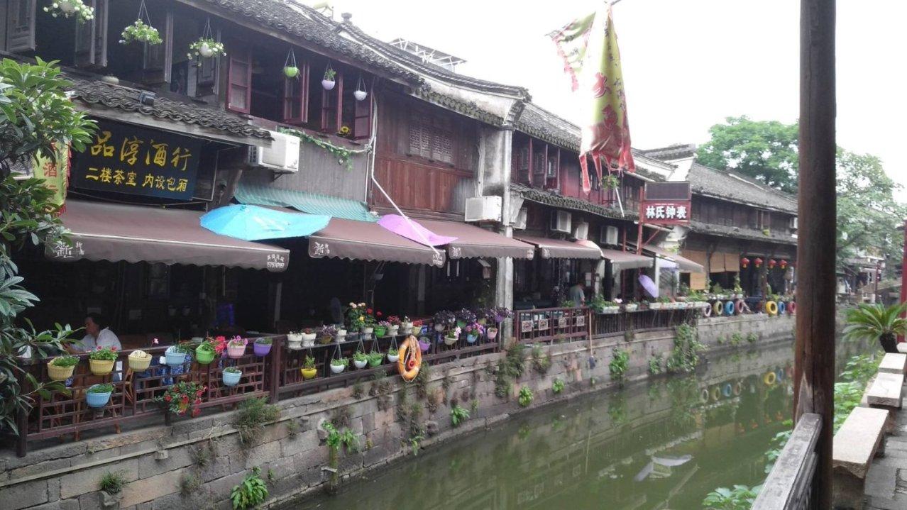 植物大战僵尸6
